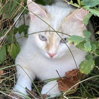IMG_1245